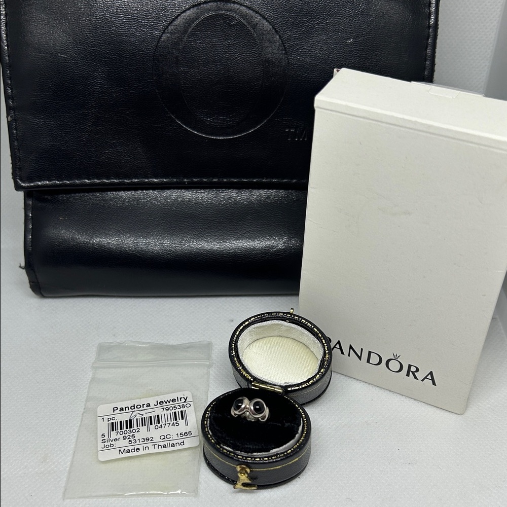 Pandora Onyx & Sterling Spacer Charm